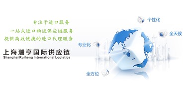 上海全套代理紙尿褲進口通關及國內貿易代理服務指南